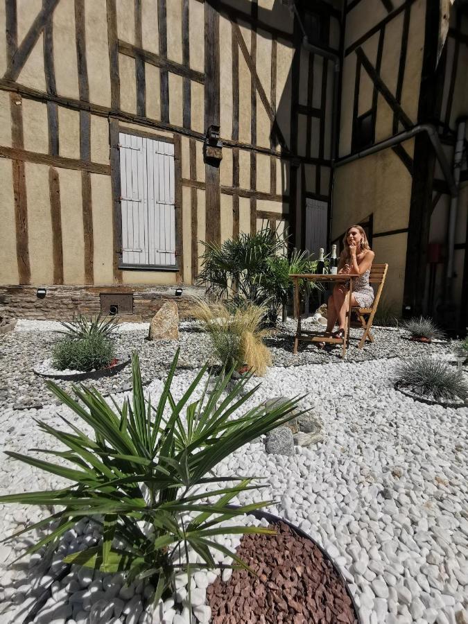 Le Chat De La Cathedrale - Calme - Jardin - Wifi Troyes Exterior foto